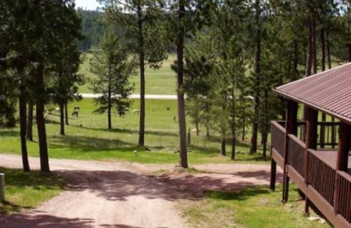 Custer Cabin | 2 bedroom cabin in the Black Hills