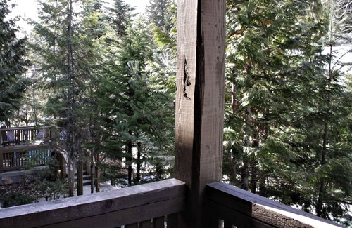Blackcomb House | 2 Bedroom near Lost Lake; quiet, comfortable, and well-equipped