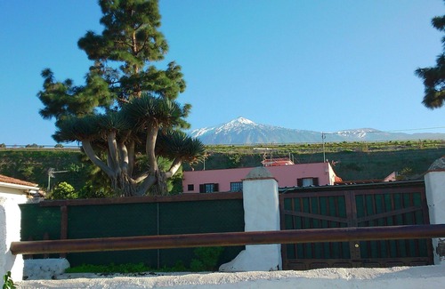 Cueva del Viento House | 2 Bedrooms Private Vacation Home In Icod De Los Vinos