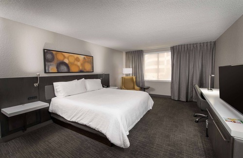 Las Colinas Hotel | 2 Connecting Suites at a Hotel