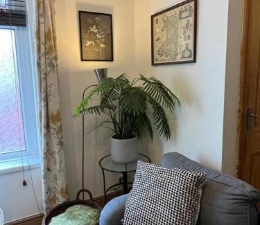 Adamsdown House | 2 Just the Splott Sleeps 6 8mins to Stadium
