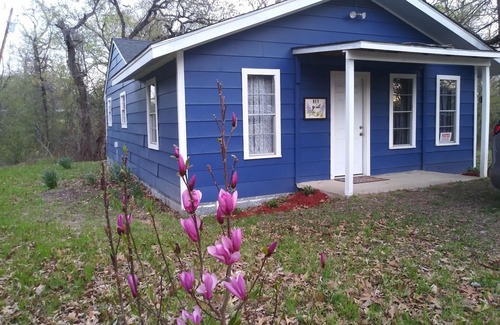 Honey Grove House | 2 Lakes, Fish, Hunt, Kayak, Hike, Equestrian Trails, and Fossil Hunt!