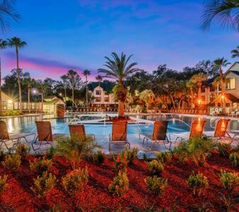 Bearss Plaza Apartment | 2 MI to USF Student Housing 24h Gym