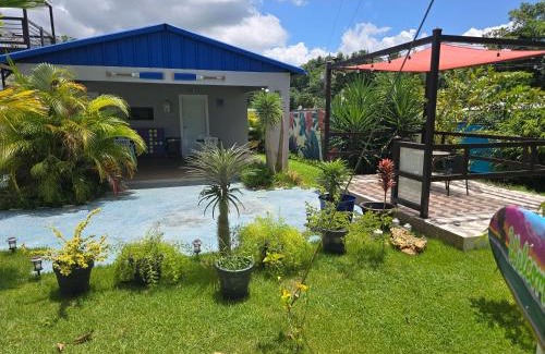 Caimital Bajo House | 2 PALMAS STR