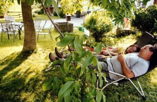Bodnegg Apartment | 2-room apartment+ (blackberry and raspberry), 55 sqm, 1 bedroom, 1 living/bedroom, max. 4 persons