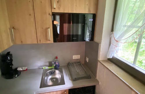 Todtnauberg Apartment | 2-room apartment for up to 4 people in Todtnauberg