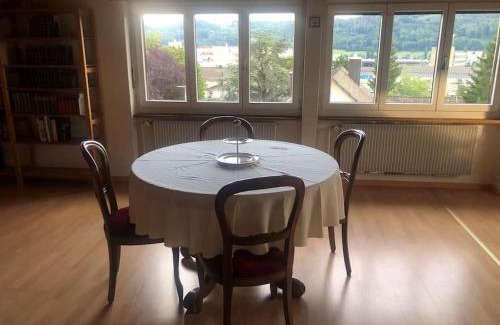 Brugg Apartment | 2-room-apartment with shared garden place and view on nature reserve