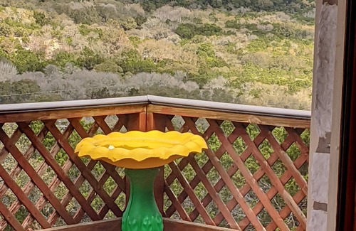 Spring Branch Cottage | 2-story hillside home on 4 acres w/2 deck overlooks & 'million dollar' views