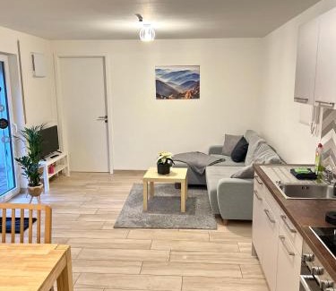 Bad Friedrichshall Apartment | 2 Zimmer Traum mit Terrasse am Kocher Jagst Radweg nähe Heilbronn