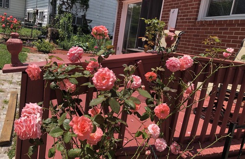 Catonsville House | 20% discount-Baltimore& DC Metro area
