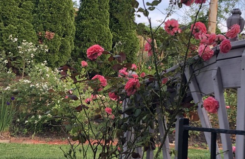 Catonsville House | 20% discount-Baltimore& DC Metro area