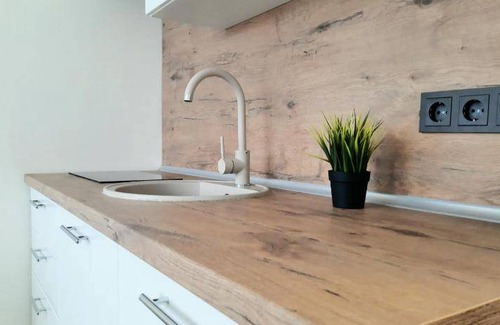 Panevezys Apartment | 20 m² Apartment ∙ 1 bedroom ∙ 2 guests