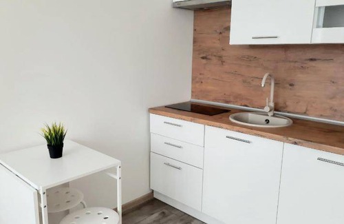 Panevezys Apartment | 20 m² Apartment ∙ 1 bedroom ∙ 2 guests
