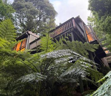 Sassafras House | 200 m² House ∙ 3 bedrooms ∙ 6 guests