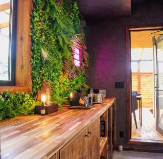 Isumi House | 2025年7月New Open,森の中の隠れ家,サウナ,星見ジャグジー