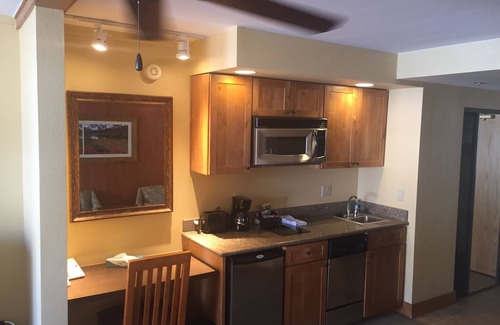 Crested Butte Condo | 205 Base area slope side views Mt. Crested Butte. Pet friendly