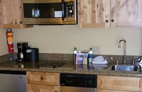 Crested Butte Condo | 205 Base area slope side views Mt. Crested Butte. Pet friendly