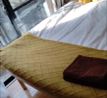 Sumida Apartment | 21观景阳台房 大空间卫浴厨房 洗衣机 车站步行3分钟 上野 涉谷 迪士尼 机场 坐车直达