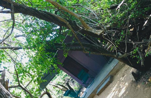 Yodakandiya Cabin | 21 m² Lodge ∙ 2 bedrooms ∙ 6 guests
