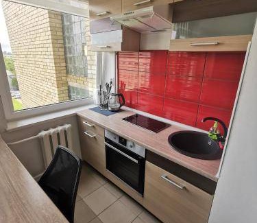 Panevezys Apartment | 22 m² Apartment ∙ 1 bedroom ∙ 3 guests