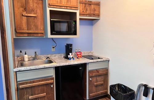 Indian Point Condo | 223 Closest accommodations to Silver Dollar City! With Free Shuttle!