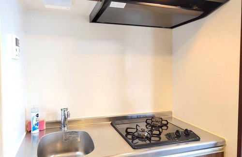 Minamiotsuka Apartment | 25 m² Apartment ∙ 1 bedroom ∙ 2 guests