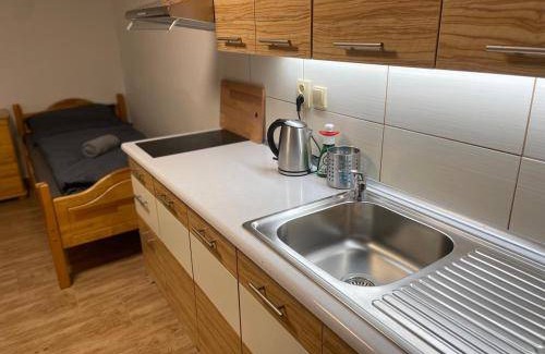Leskovec nad Moravici Apartment | 25 m² Apartment ∙ 4 guests