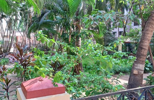 Marol Apartment | 27 m² Apartment ∙ 1 bedroom ∙ 2 guests