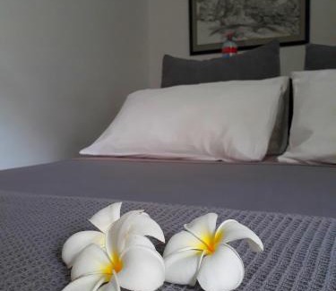 Colombo 05 Bed & Breakfast | "27" Spathodea- Oasis in the City