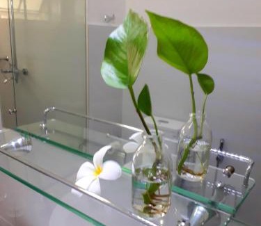 Colombo 05 Bed & Breakfast | "27" Spathodea- Oasis in the City