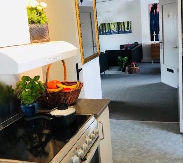 Tonder Apartment | 27 Vestergade