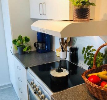 Tonder Apartment | 27 Vestergade