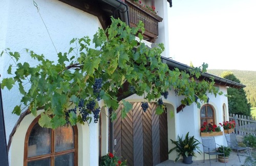Rimbach Apartment | 29qm große FeWo für 2 Personen mit Balkon und herrlicher Aussicht