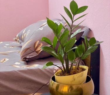 Hyderabad Apartment | 2BHK Home AC bed room First floor Meerpet