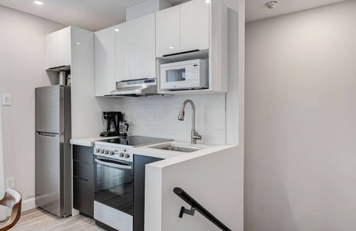La Petite-Patrie Apartment | 2BR LOFT with private terrace- Plaza St-Hubert