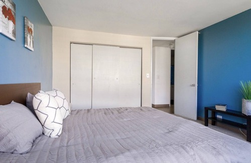Douglas Apartment | 2BR w/LAKE VIEW NEAR MCCORMICK PLACE