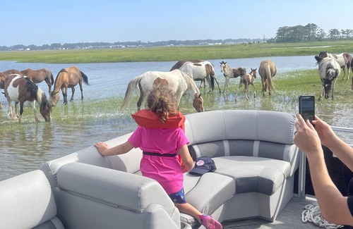 Chincoteague Cottage | 2BR Waterfront Cottage with the Most Spectacular View of lighthouse!