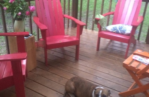 Rolling Prairie Cabin | 3+ acres of privacy! Biking, Pups & Walking: Nirvana! 7 minutes to hip 3 Oaks!