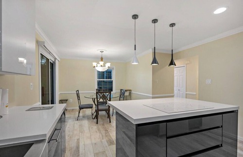 Herndon Apartment | 3 Bd 2 1/2 bath Chic Large.30mto DC, 12min to IDA