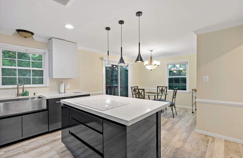 Herndon Apartment | 3 Bd 2 1/2 bath Chic Large.30mto DC, 12min to IDA