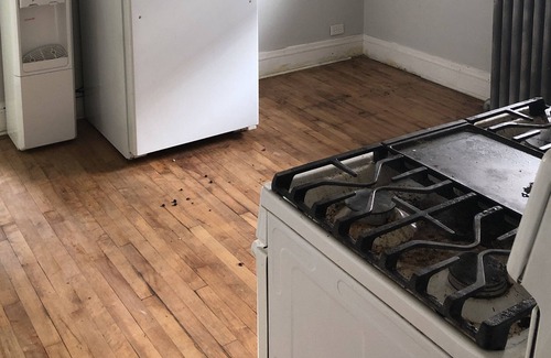 Roseland Apartment | 3 bedroom 1 Bath / private apt