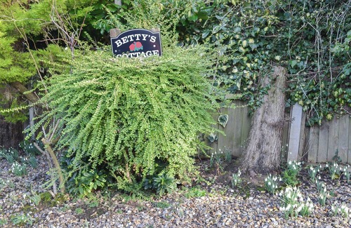 Swafield Cottage | 3 bedroom accommodation in North Walsham