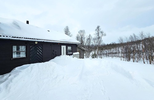 Tinn Apartment | 3 bedroom awesome apartment in Rjukan