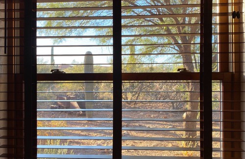 Tucson House | 3-Bedroom Desert Hideaway