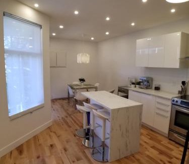 Hochelaga-Maisonneuve Apartment | 3 bedroom near Olympic Stadium