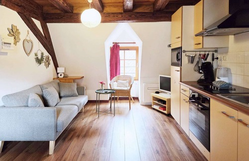 Eguisheim Apartment | 3 châteaux duplex gite - Village centre