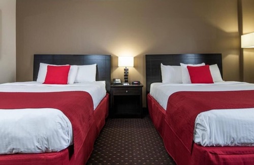 Grande Prairie Hotel | 3 Clean & Modern Rooms – 5 Min Walk to Majors Homestyle Restaurant