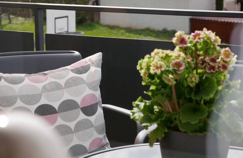 Achkarren Apartment | 3. Ferienwohnung im OG mit 50 qm, 1 Wohn-/Schlafraum für max. 3 Personen
