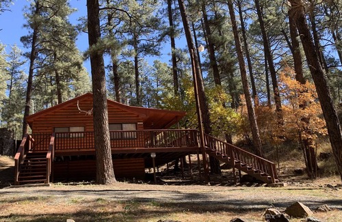Ruidoso Cabin | 3 Little Bears - GREAT location; secluded feel!