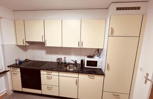Wynau Apartment | 3-Room Apartment for Business Travelers or Familie, Free WiFi & TV with 100 Countries, DAZN, Sky, Netflix & Disney